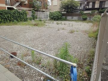 空き地発見