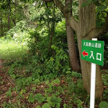 深浦町からは、縄文時代の遺跡もたくさん出てますからね