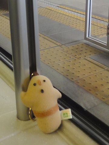 乗りこみました!