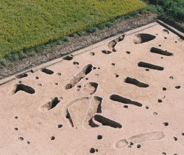 弥生時代後期の『伊勢遺跡』。柱穴には、明らかに斜路が掘られてます。