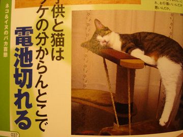 もし、バッテリーが切れてたらどうするの!
