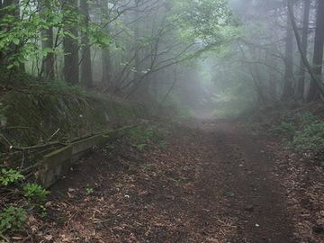 幾山河越えさり行かば寂しさのはてなむくにぞ今日も旅ゆく