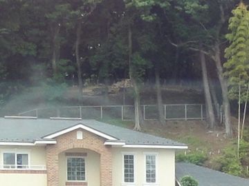 柵で囲われてますから、私有地