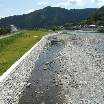 護岸工事されたらアウトってことか