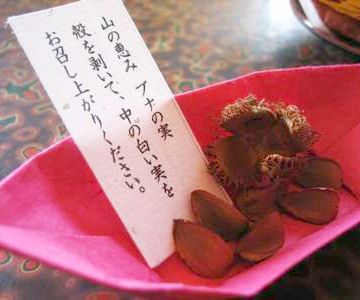 森の生き物を育んでるってわけか
