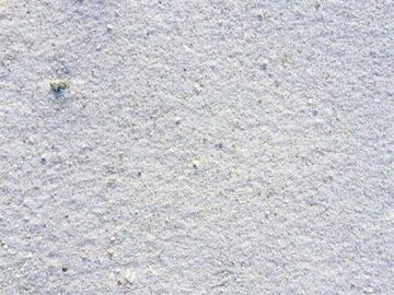 実際の極楽浜の砂です