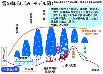 雪が降らないでしょ