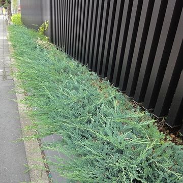 洒落た植栽