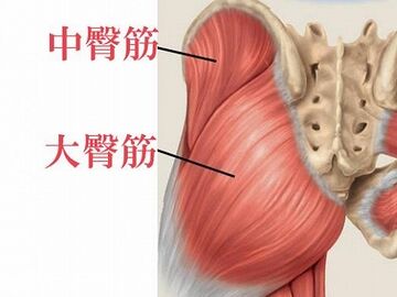 大臀筋に掛けたつもり