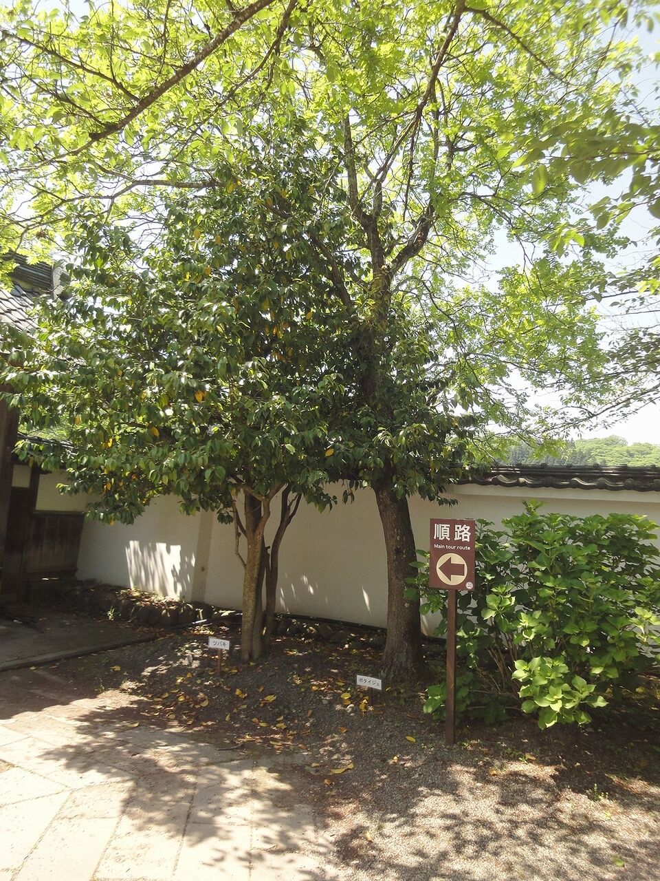 さらに順路は続く