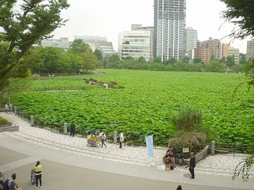 窓から撮った『不忍池』