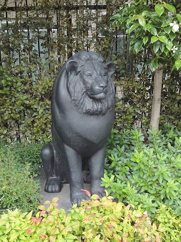ライオンがいました