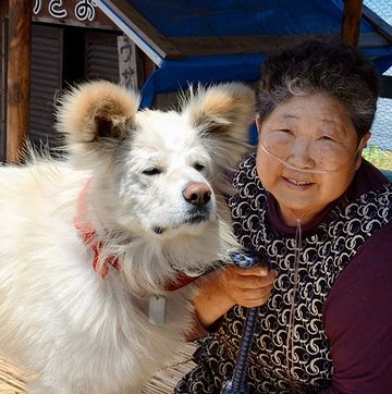 こんなにゲッソリ痩せたことも。飼い主さんが入院したためだそうです。