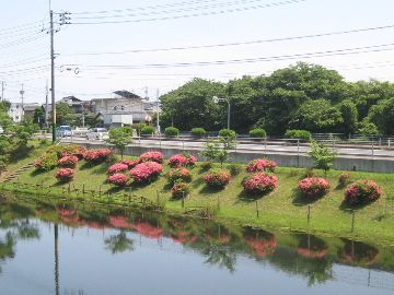 川っぷちの土手みたいなところで、斜面に座って釣ってたの