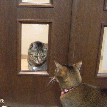 顔は見てない?
