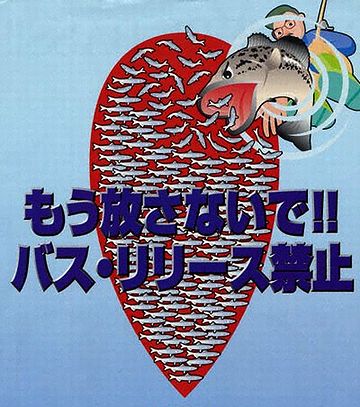 2003年からは、八郎潟でもリリース禁止になってますね