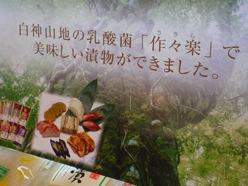 低温に強い乳酸菌も見つかってまして、『作々楽(ささら)』と名付けられました