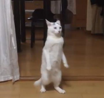 なんで前後にふらふらしてるのよ