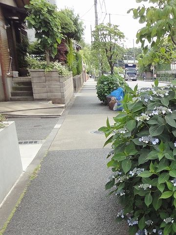 自転車が、わたしのすぐわきを、スピードを落とさず走り抜けて行くんです