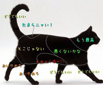 昔飼ってた猫は、お尻を叩かれるのが大好きでした