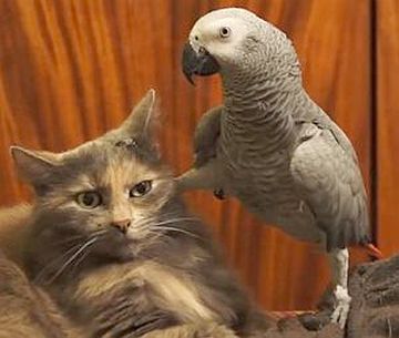 ケリを入れてるんです