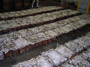 一般家庭が、箱単位で買って……