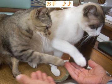 またひとつ、利口になった