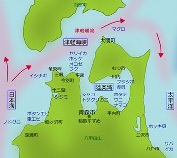 対馬海流は、津軽海峡を通るわけでしょ