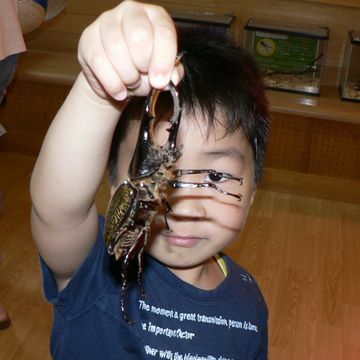 じゃ、昆虫館とか