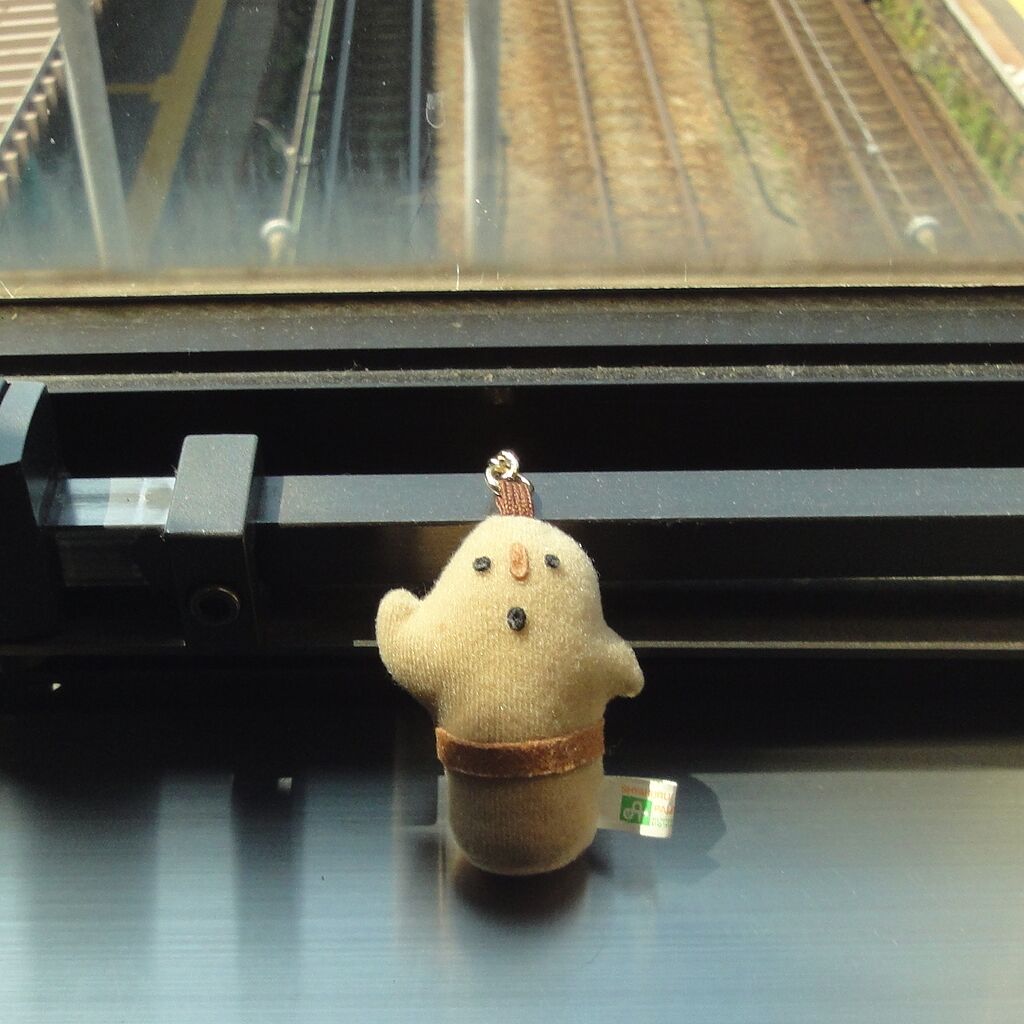 いつもの相棒