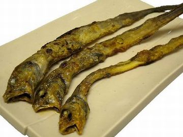 幻魚の干物。食欲わきませんよね