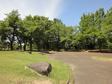 サービスエリア内は、樹木が鬱蒼と茂り、森のようでした