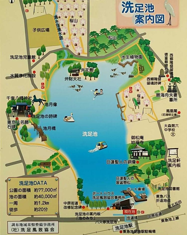 洗足池公園案内図