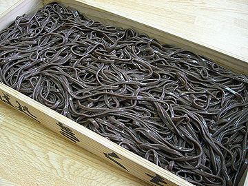 いわゆる、田舎蕎麦がこれ