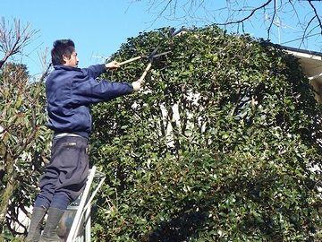 植木屋さんに払うお金
