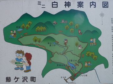 『ミニ白神』と呼ばれてます