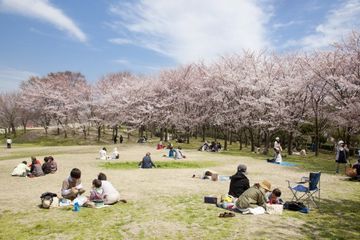 『鳥屋野潟公園』・新潟市中央区