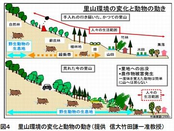 里山環境の変化