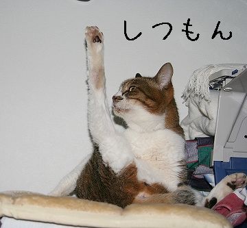 いらない質問するから、話が続かないじゃない