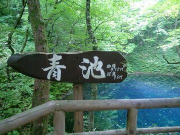 『青池』は、その十二湖のうちのひとつなんです