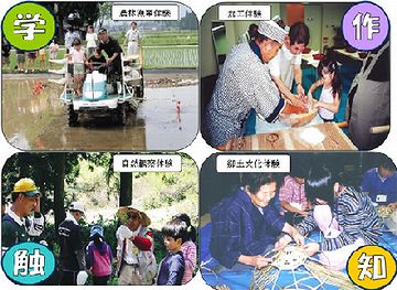 田植えや稲刈りを体験するツアー