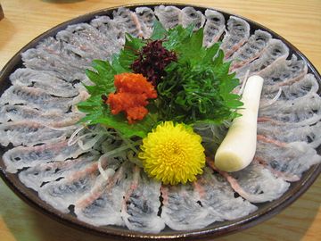 一見、フグですが……。実は、浜名湖名物、うなぎのお刺し身です。