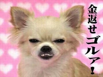 今からでも遅くないから、収入比分返して