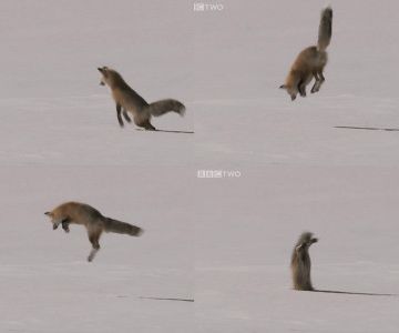 そのため、速く走ったり、ジャンプしたりする必要がある