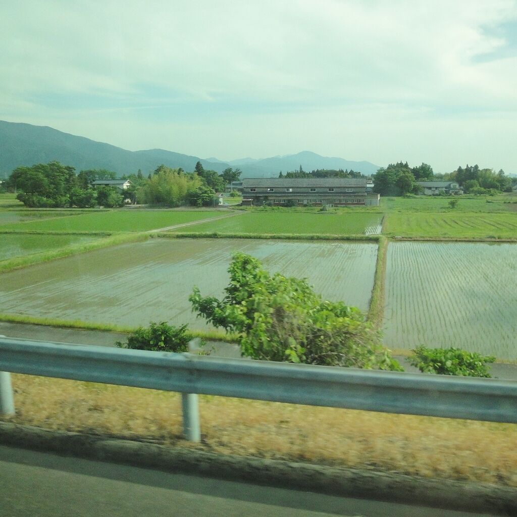 のどかな景色じゃ
