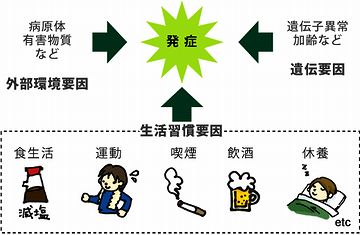 生活習慣を、根本から見なおした方がいいんじゃないですか?