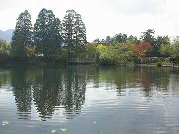 金鱗湖が見えて来ました