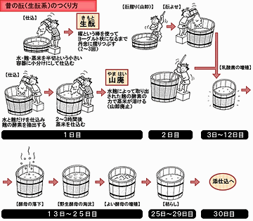 生もと系