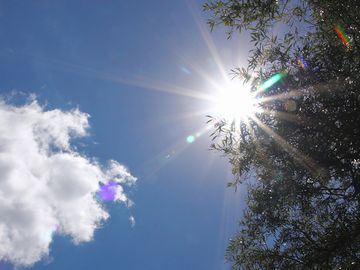 夏のような日差しが、ギラギラ射してた