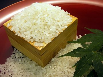 魚沼の米は、人が飲める水で作られとるんじゃ